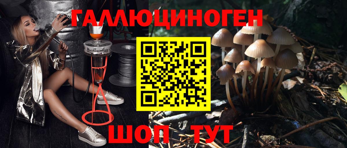 Псилоцибиновые грибы мицелий Каспийск